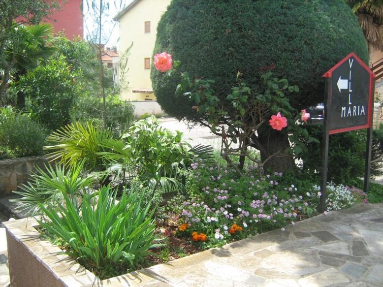 Villa Maria Novigrad Istria Exterior foto